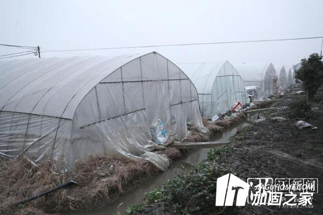 大雪來臨加固大棚 減少農(nóng)業(yè)損失！