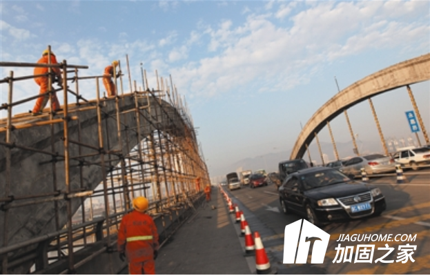 百萬(wàn)螞蟻建懸空橋，橋梁加固如何進(jìn)行?